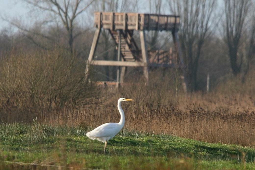 Manege Sanninghoeve B&B Oudega  Bagian luar foto
